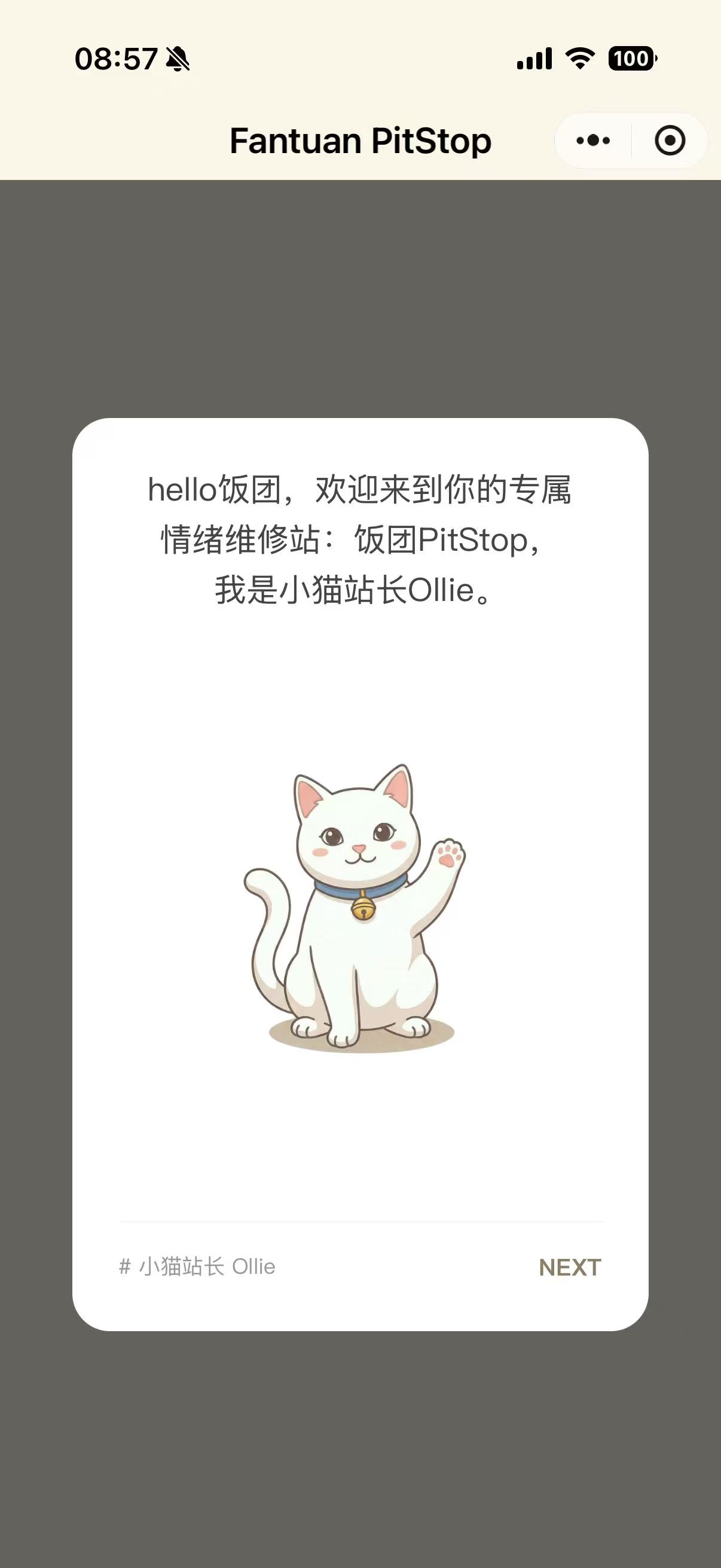 饭团 PitStop 欢迎页，小猫站长 Ollie 正在招手