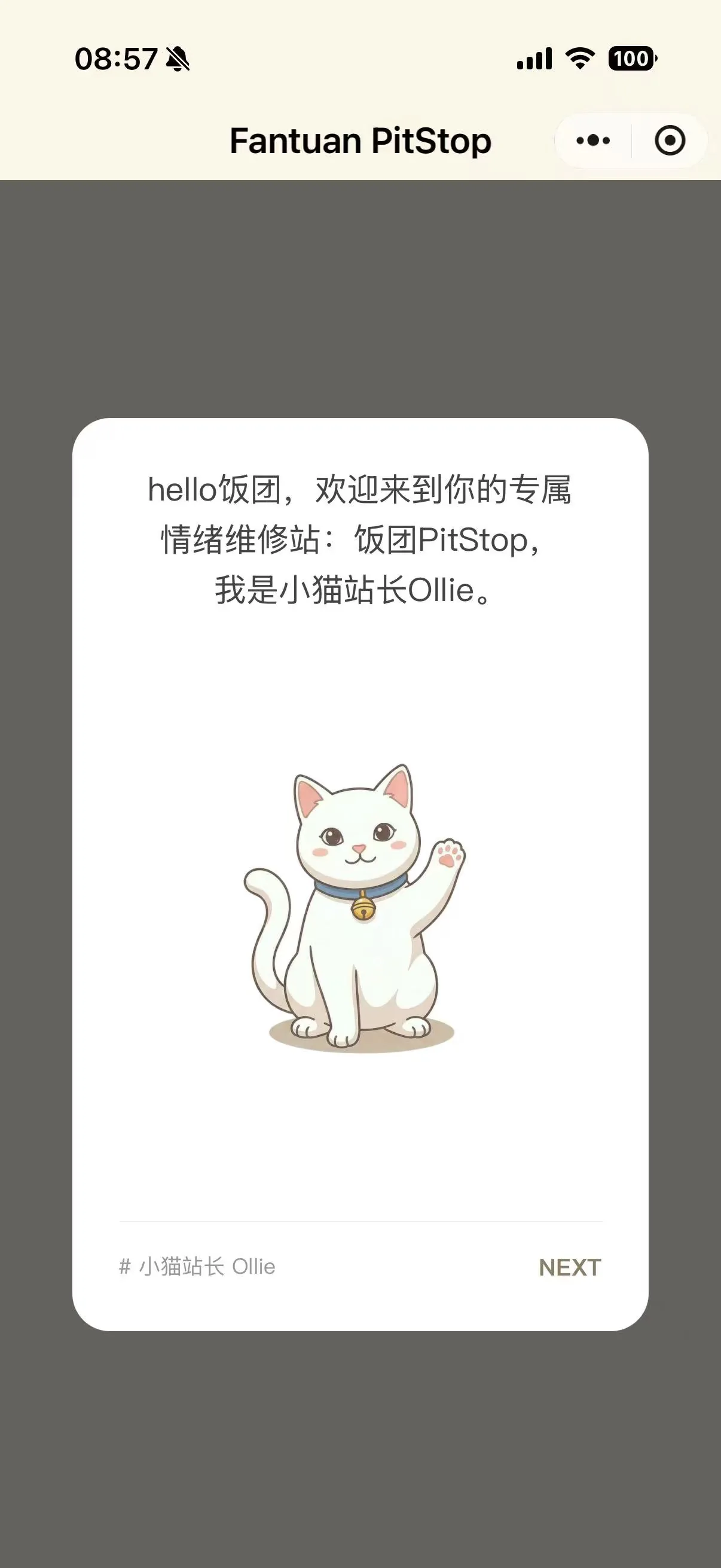 饭团 PitStop 欢迎页，小猫站长 Ollie 正在招手
